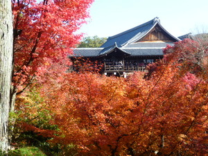 京都東福寺　紅葉