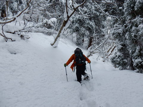 赤谷山で新雪を歩く