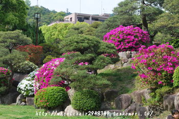 相楽園の日本庭園とつつじ