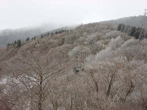 樹氷の金剛山