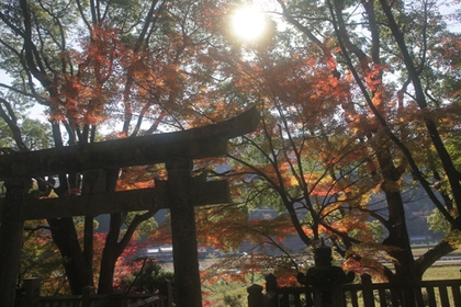 伊垣神社の紅葉①