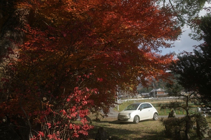 伊垣神社の紅葉②