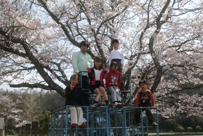 矢野小学級写真－桜とともに