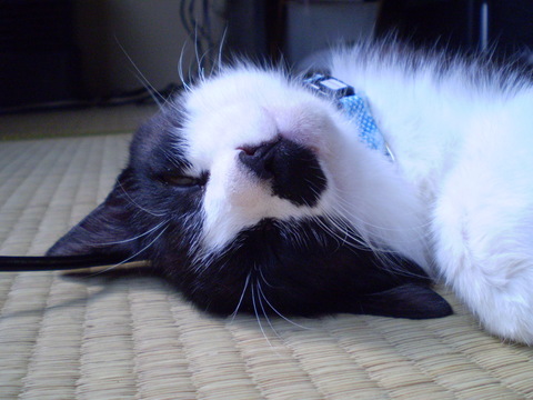い、いま寝るなぁぁぁぁぁ～