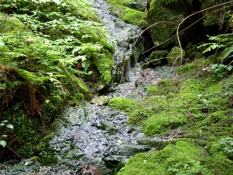 七種の滝（なぐさのたき）～神崎郡福崎町～