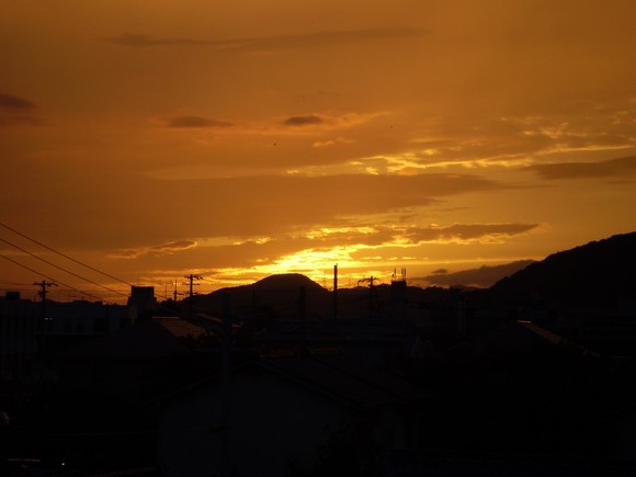 明日晴れたら・・・