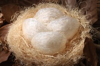 ツバメの巣酸：肌の保湿力を向上させます。