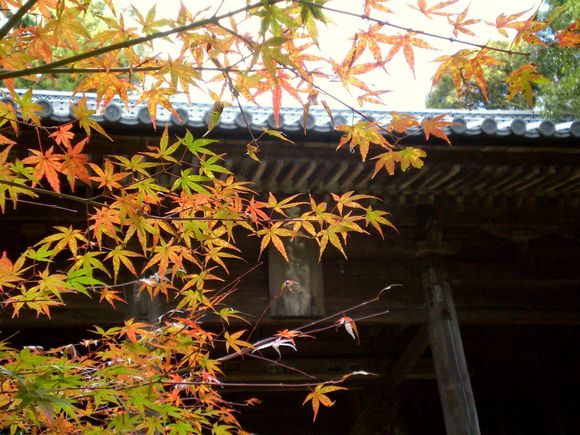 書写山圓教寺～2007年紅葉まつり～