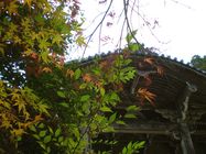 書写山圓教寺～2007年紅葉まつり～