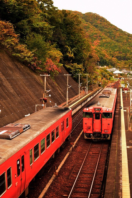 「津山線」数日で紅葉も進んでいます。（玉柏駅　-　牧山駅　-　野々口駅間）