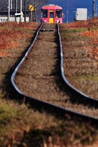 遠くからフラワ号（北条鉄道沿線）