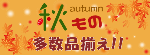秋物アイテム多数品揃え！！