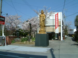 日本の心　桜