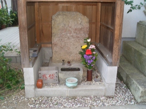歯痛に・・・・・効きます