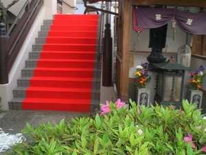 歯痛に・・・・・効きます