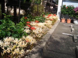 べぇ～～ん