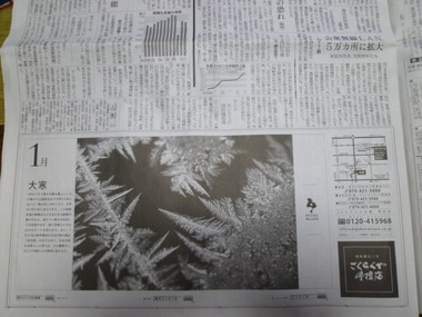 HYOGO　 My 　LOVE   　大寒