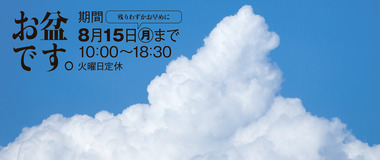 広告です。。。。。。。。