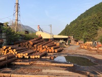 兵庫県産木材を製材している丹波の製材所へ
