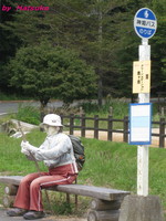 かかし