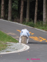 かかし