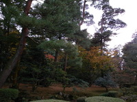 2009年11月24日