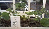 2009年10月31日