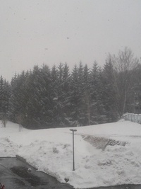 雪国にゃのかにゃ～