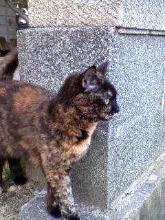 勤務時間