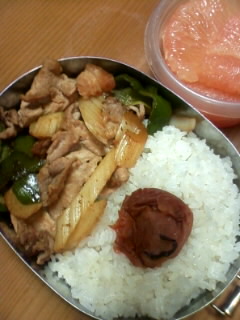 試練にゃ弁当