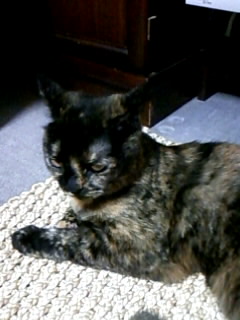 おかあちゃんが・・・