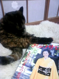 おかあちゃんの愛読書