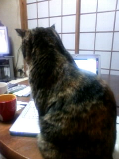 いぢわるかにゃ