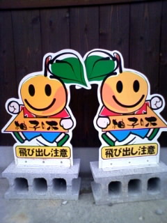 マメマメの悩みは