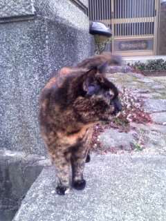 いってらっしゃいにゃ！