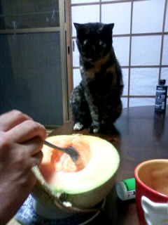 めろんにゃ