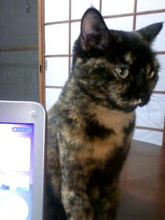 ずーーーっと？