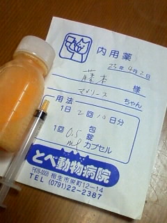 これは　にゃに？