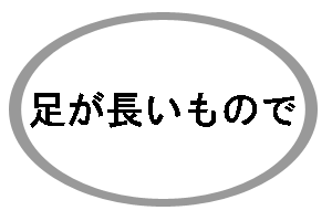 足が長いもんで