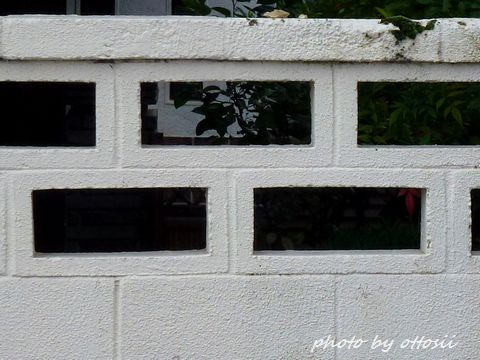 ブロック塀の穴　その15