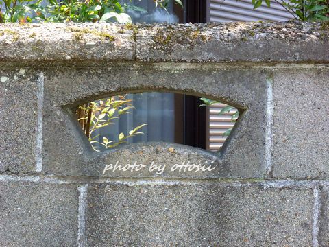 ブロック塀の穴　その20