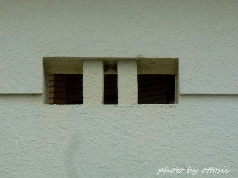 ブロック塀の穴　その22