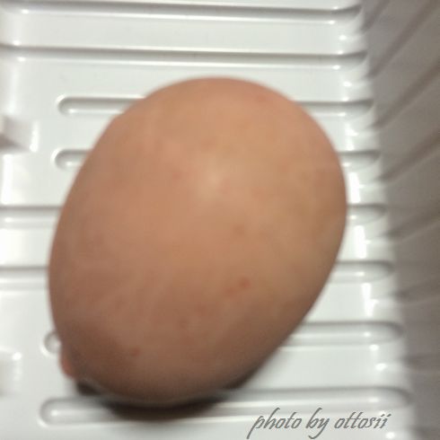 かもめの玉子
