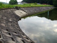 池が…