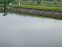 池が…