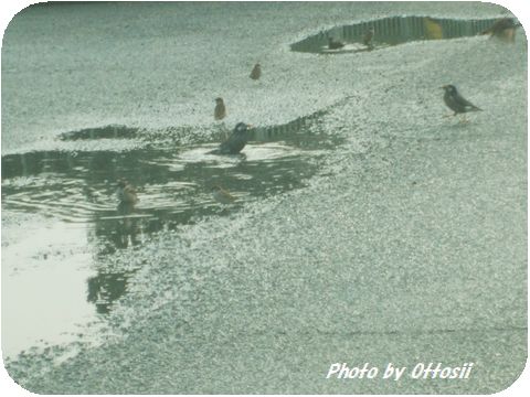 雨上りの昼下がり