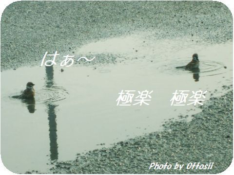 雨上りの昼下がり