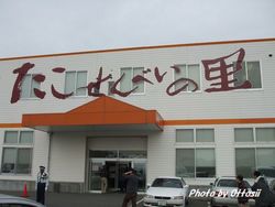 おみやげ・たこせんべい