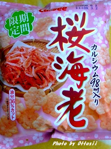 期間限定　桜海老
