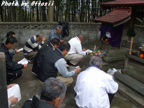 土曜日は桜・酒・桜・酒…合間に写真